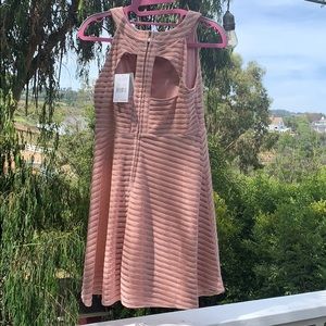 A pink blush dress never worn